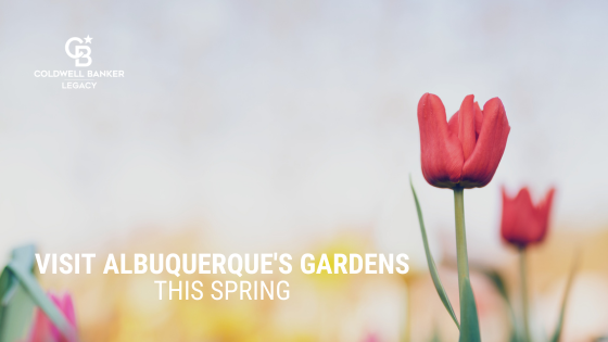 Albuquerque Gardens